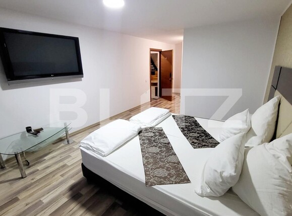 Spațiu comercial de închiriat Ampoi 3 - 101875SIC | BLITZ Alba Iulia | Poza2