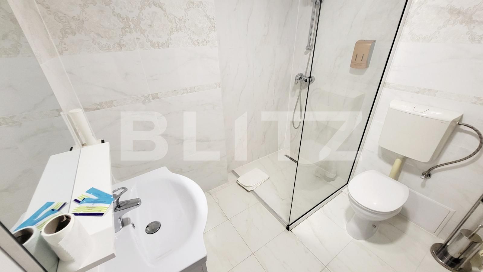 Spațiu comercial de închiriat Ampoi 3 - 101875SIC | BLITZ Alba Iulia | Poza8