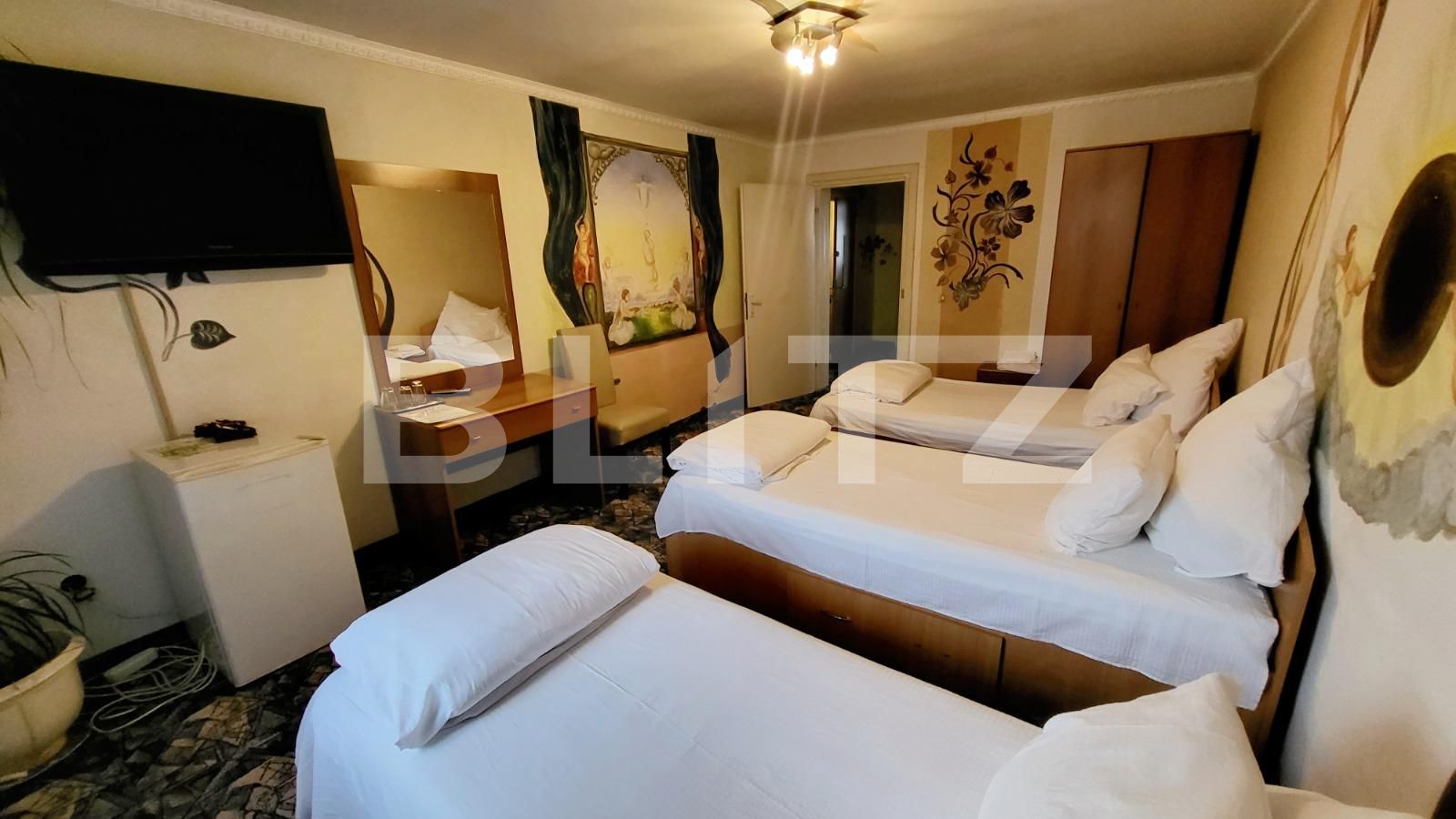 Spațiu comercial de închiriat Ampoi 3 - 101875SIC | BLITZ Alba Iulia | Poza4