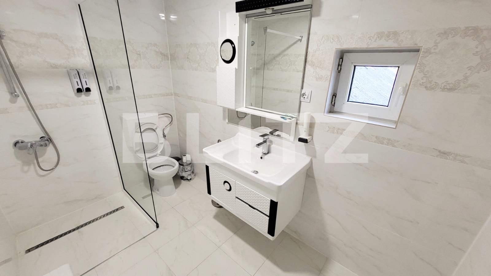 Spațiu comercial de închiriat Ampoi 3 - 101875SIC | BLITZ Alba Iulia | Poza3