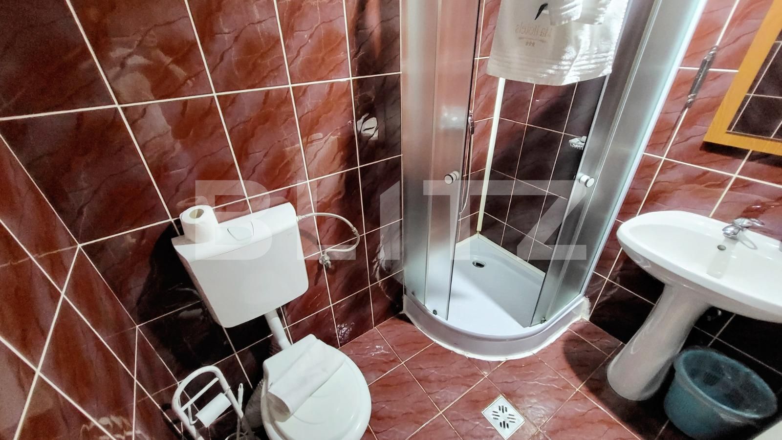 Spațiu comercial de închiriat Ampoi 3 - 101875SIC | BLITZ Alba Iulia | Poza9