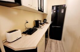 Penthouse 90 mp, 70 mp terasă, 4 camere, zona Centrala