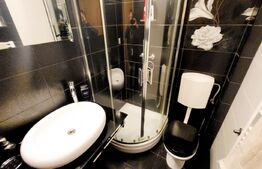 Penthouse 90 mp, 70 mp terasă, 4 camere, zona Centrala