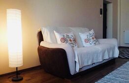 Apartament 2 camere, 55mp, zona Centru