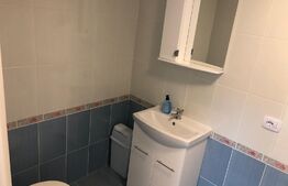 Spatiu comercial cu vad bun, 2 incaperi, baie, 46mp, zona Ampoi 3