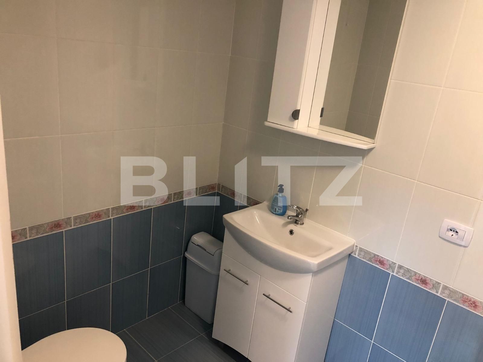 Spațiu comercial de închiriat Ampoi 3 - 102290SIC | BLITZ Alba Iulia | Poza4