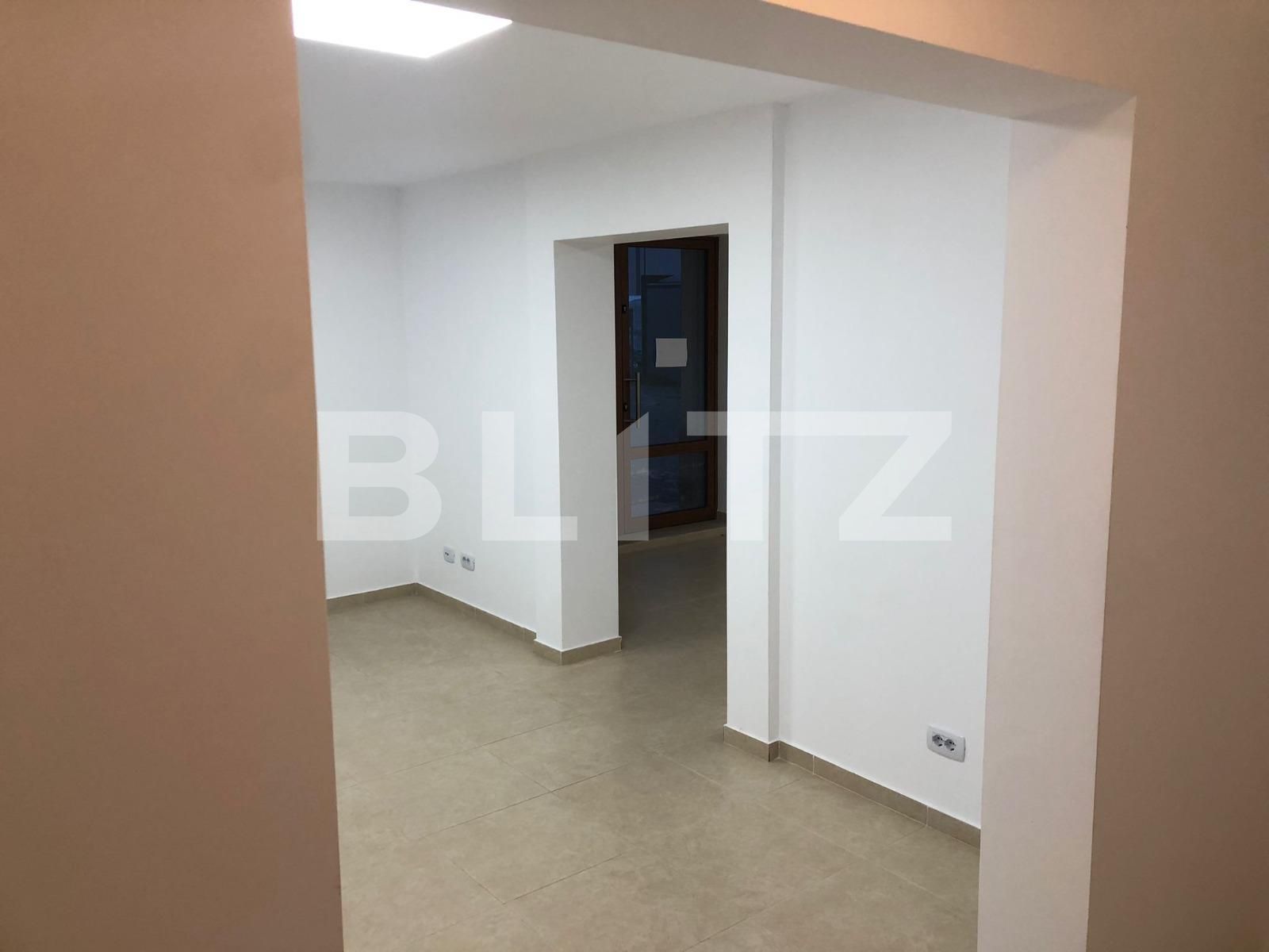 Spațiu comercial de închiriat Ampoi 3 - 102290SIC | BLITZ Alba Iulia | Poza6