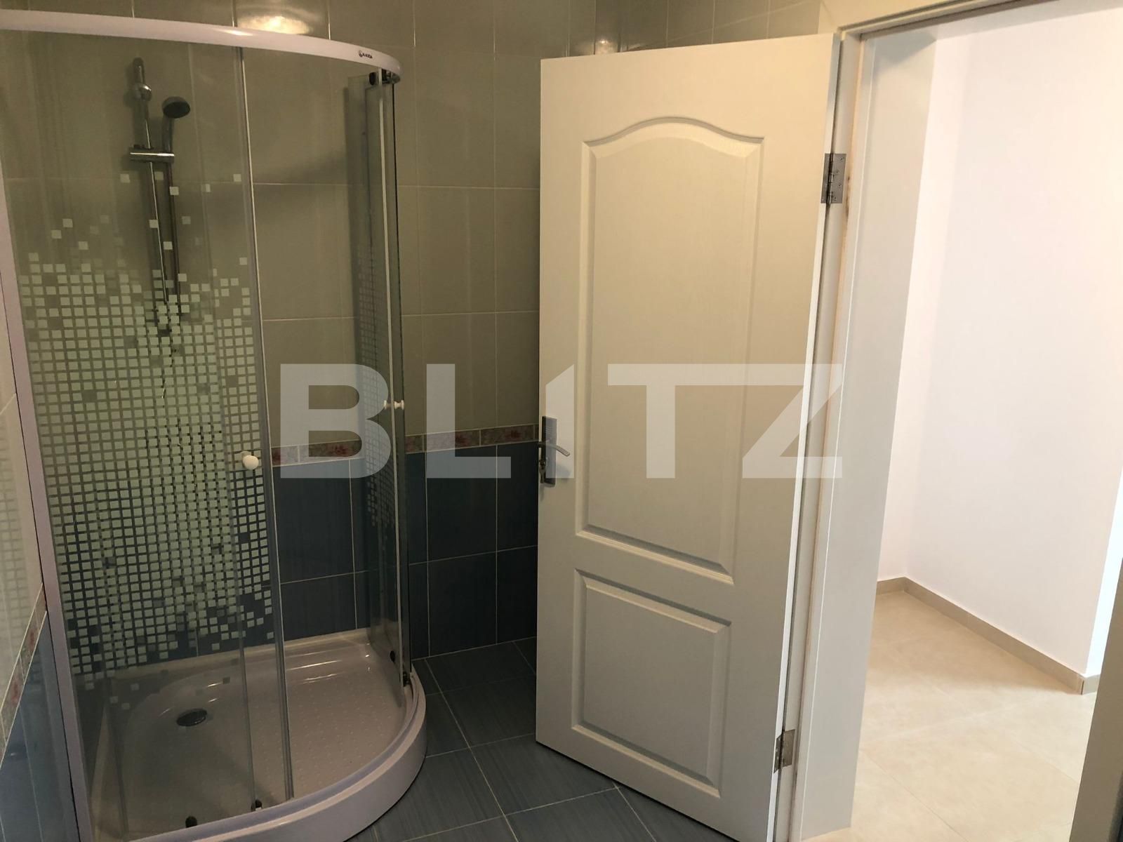 Spațiu comercial de închiriat Ampoi 3 - 102290SIC | BLITZ Alba Iulia | Poza3