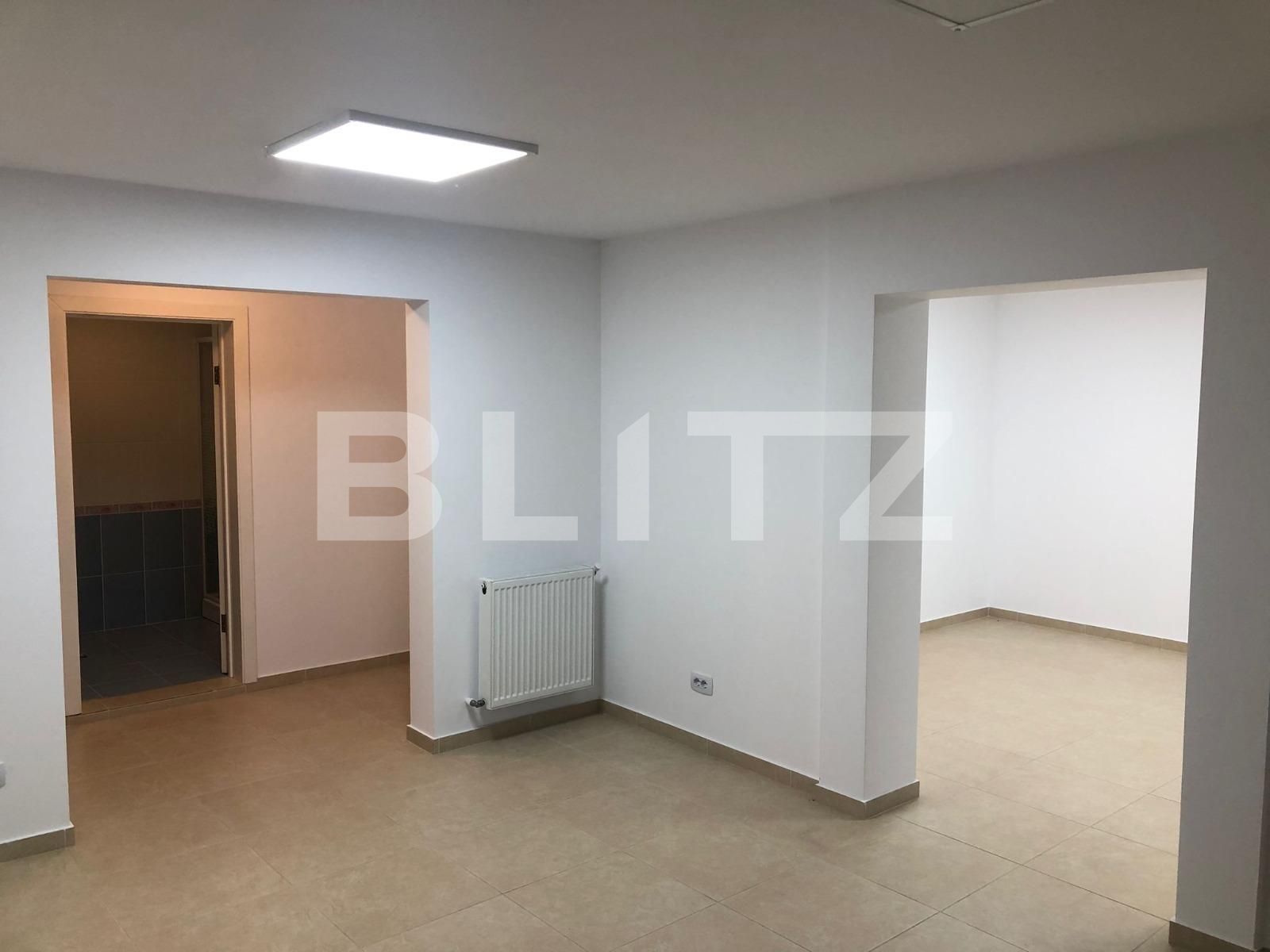 Spațiu comercial de închiriat Ampoi 3 - 102290SIC | BLITZ Alba Iulia | Poza8