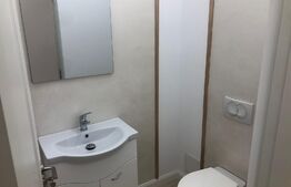 Spatiu pentru birou, 42 mp, baie, zona Ultracentrala Tribunal