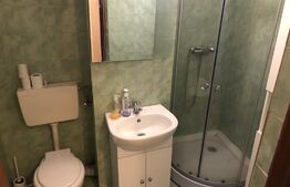 Garsoniera spatioasa, 38 mp, balcon, zona Cetate