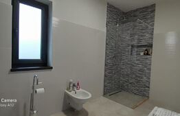 Doua case in duplex pe un singur nivel, 260 mp, 1300 mp teren, Sard