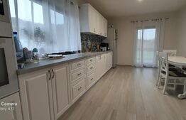 Doua case in duplex pe un singur nivel, 260 mp, 1300 mp teren, Sard