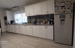 Doua case in duplex pe un singur nivel, 260 mp, 1300 mp teren, Sard