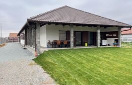 Doua case in duplex pe un singur nivel, 260 mp, 1300 mp teren, Sard