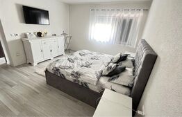 Doua case in duplex pe un singur nivel, 260 mp, 1300 mp teren, Sard