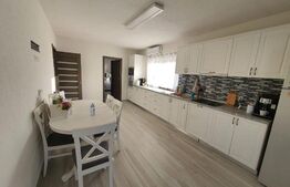 Doua case in duplex pe un singur nivel, 260 mp, 1300 mp teren, Sard