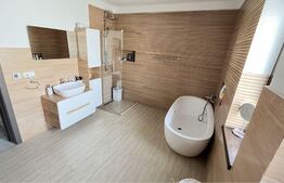 Doua case in duplex pe un singur nivel, 260 mp, 1300 mp teren, Sard