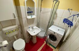 Apartament 1 camera 36 mp - Zona Cetate