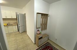 Garsoniera spatioasa, 45 mp, zona Centrala