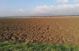 Teren intravilan 4500 mp zona Oarda cu iesire la DN1