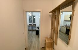 Apartament 1 camera, 40 mp, zona Centrala