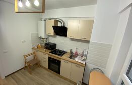 Apartament 1 camera, 40 mp, zona Centrala