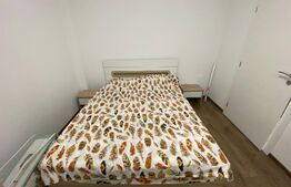 Apartament 1 camera, 40 mp, zona Centrala