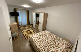 Apartament 1 camera, 40 mp, zona Centrala