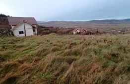 Teren intravilan 500mp zona Micesti.