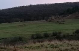 Teren intravilan 500mp zona Micesti.