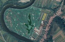 Teren extravilan, 4600 mp, Zona Teleac - Golf Theodora