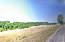 Teren intravilan, 2100 mp cu toate utilitățile, Teleac-Ciugud