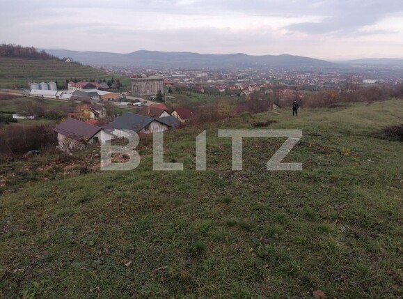 Teren de vânzare Nord - 103097TV | BLITZ Alba Iulia | Poza3