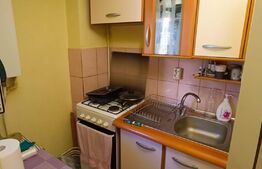 Garsoniera, 23 mp utili, etaj 1, Cetate