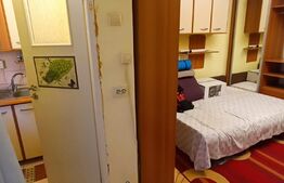 Garsoniera, 23 mp utili, etaj 1, Cetate