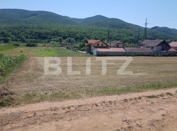 Teren de vânzare Exterior Vest - 103501TV | BLITZ Alba Iulia | Poza1