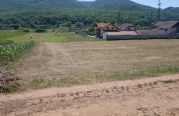 Teren intravilan 561 mp, zona Ampoita - Sard