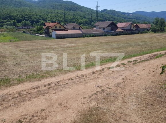 Teren de vânzare Exterior Vest - 103531TV | BLITZ Alba Iulia | Poza4