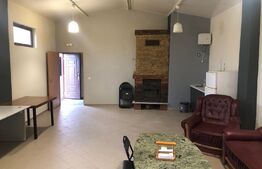 Studio de inregistrare de 150mp cu 3 camere, parcare, curte - cartier Micesti