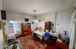 Casă 4 camere, 110 mp utili, teren cu 500 mp, loc. Vințu de Jos