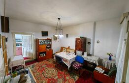 Casă 4 camere, 110 mp utili, teren cu 500 mp, loc. Vințu de Jos