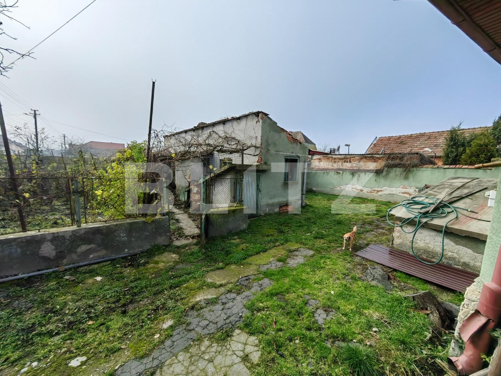 Casa de vânzare 4 camere Vinţu de Jos - 103691CV | BLITZ Alba Iulia | Poza11