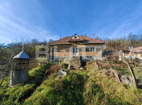 Casa de vânzare 3 camere Vinţu de Jos - 103729CV | BLITZ Alba Iulia | Poza2