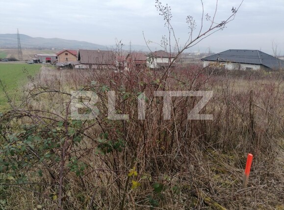 Teren de vânzare Micești - 104237TV | BLITZ Alba Iulia | Poza3