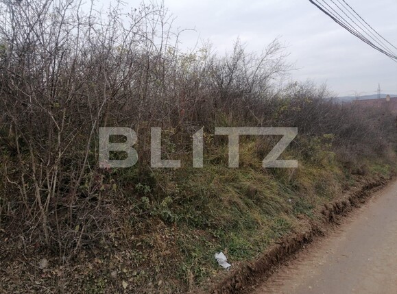 Teren de vânzare Micești - 104237TV | BLITZ Alba Iulia | Poza2