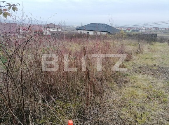 Teren de vânzare Micești - 104237TV | BLITZ Alba Iulia | Poza4