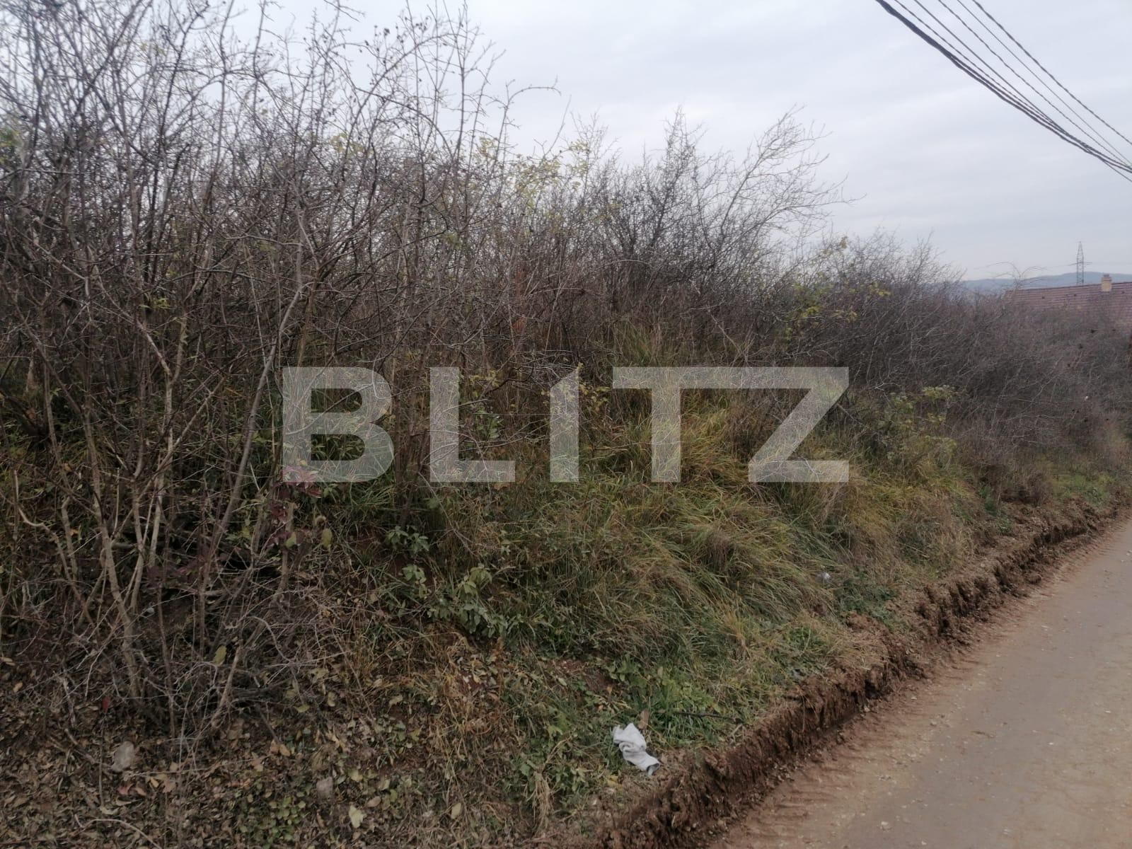Teren de vânzare Micești - 104237TV | BLITZ Alba Iulia | Poza2