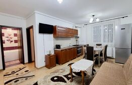 Apartament cu 2 camere, 40 mp, balcon inchis, Sebes