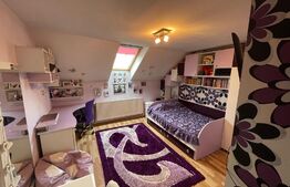 Casa individuala, 390 mp utili, pretabila pentru investitie, Central